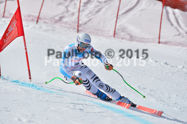 Int. Dt. Meisterschaft Abfahrt 2015