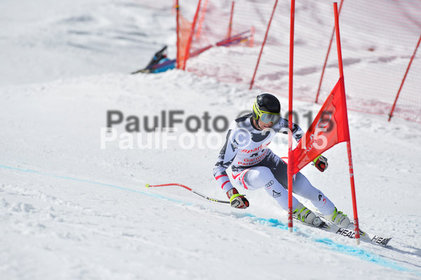 Int. Dt. Meisterschaft Abfahrt 2015
