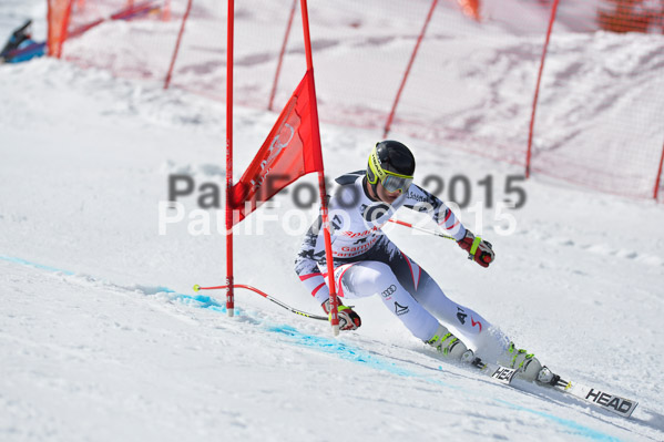Int. Dt. Meisterschaft Abfahrt 2015