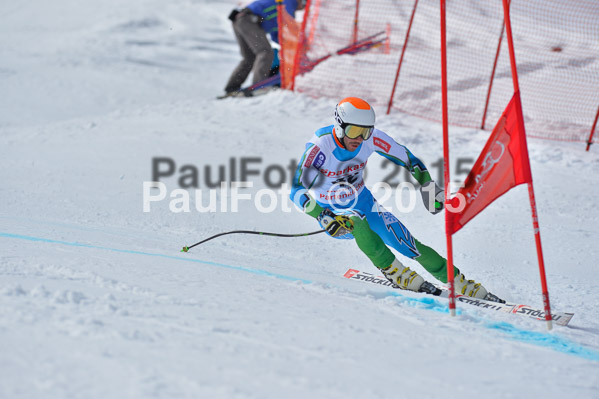 Int. Dt. Meisterschaft Abfahrt 2015