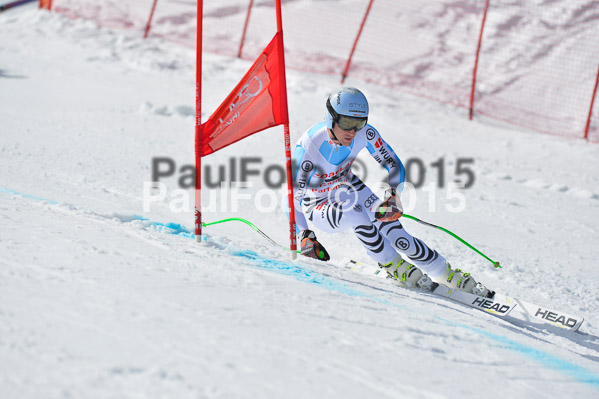 Int. Dt. Meisterschaft Abfahrt 2015