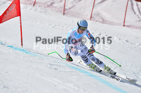 Int. Dt. Meisterschaft Abfahrt 2015