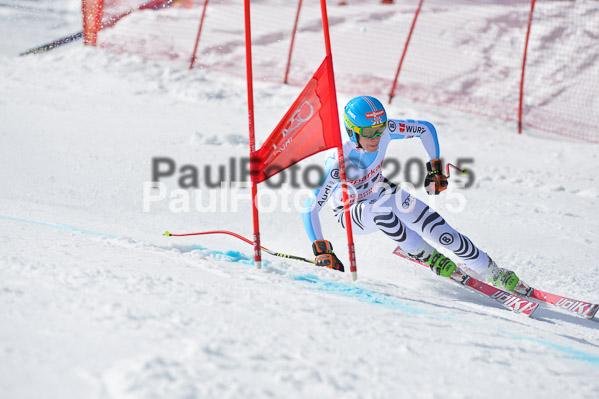 Int. Dt. Meisterschaft Abfahrt 2015