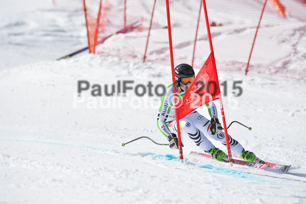 Int. Dt. Meisterschaft Abfahrt 2015
