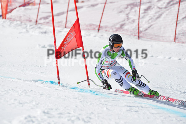 Int. Dt. Meisterschaft Abfahrt 2015