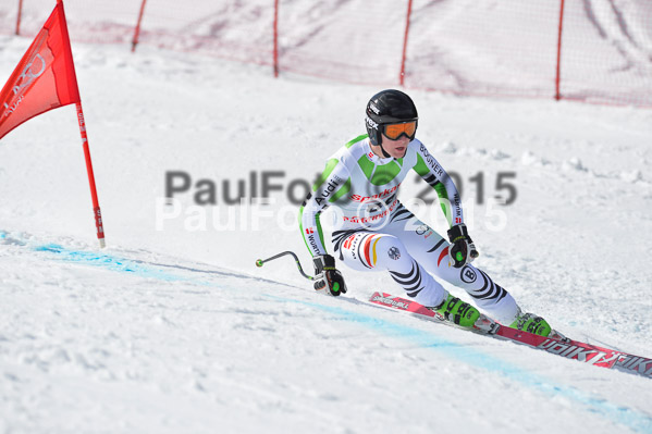 Int. Dt. Meisterschaft Abfahrt 2015