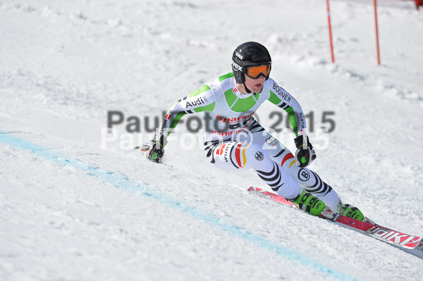 Int. Dt. Meisterschaft Abfahrt 2015