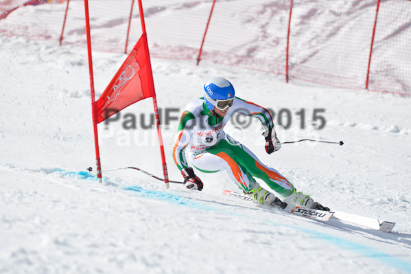 Int. Dt. Meisterschaft Abfahrt 2015