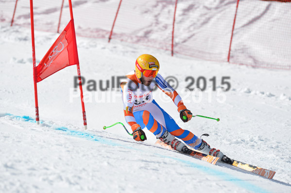 Int. Dt. Meisterschaft Abfahrt 2015