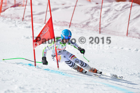 Int. Dt. Meisterschaft Abfahrt 2015