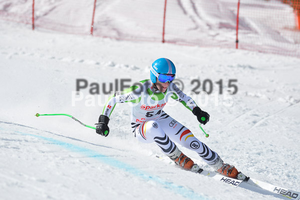 Int. Dt. Meisterschaft Abfahrt 2015