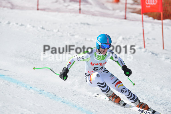 Int. Dt. Meisterschaft Abfahrt 2015