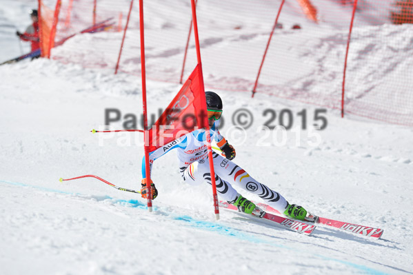 Int. Dt. Meisterschaft Abfahrt 2015