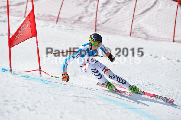 Int. Dt. Meisterschaft Abfahrt 2015