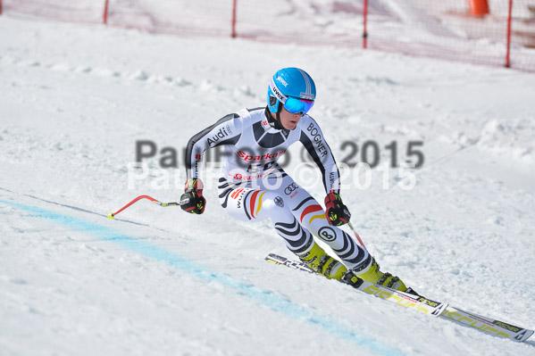 Int. Dt. Meisterschaft Abfahrt 2015