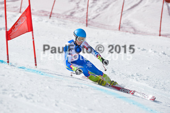 Int. Dt. Meisterschaft Abfahrt 2015