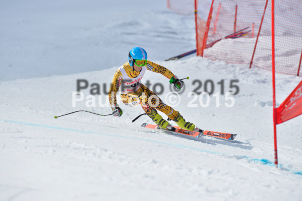 Int. Dt. Meisterschaft Abfahrt 2015