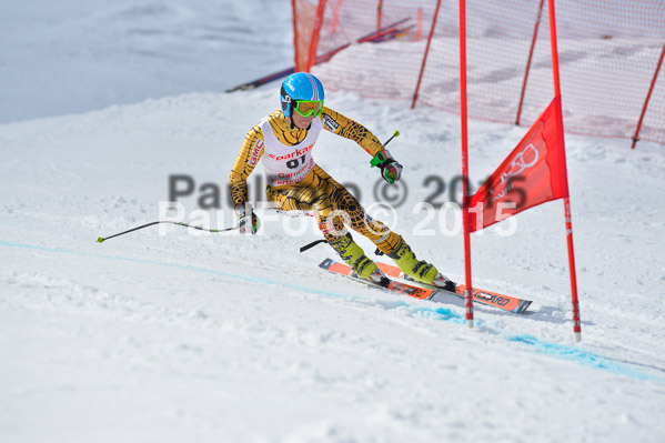 Int. Dt. Meisterschaft Abfahrt 2015