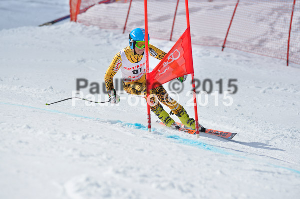 Int. Dt. Meisterschaft Abfahrt 2015