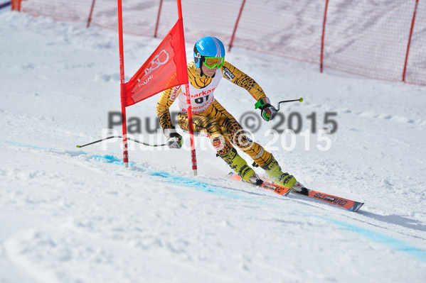 Int. Dt. Meisterschaft Abfahrt 2015