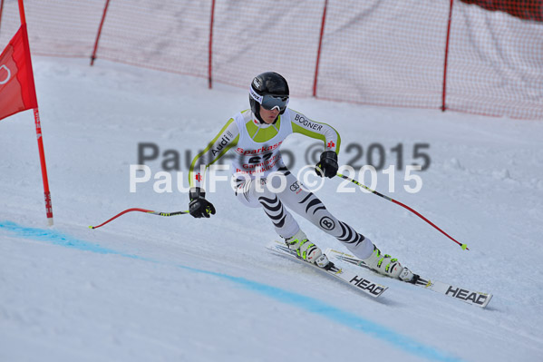 Int. Dt. Meisterschaft Abfahrt 2015