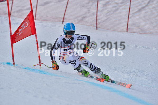 Int. Dt. Meisterschaft Abfahrt 2015