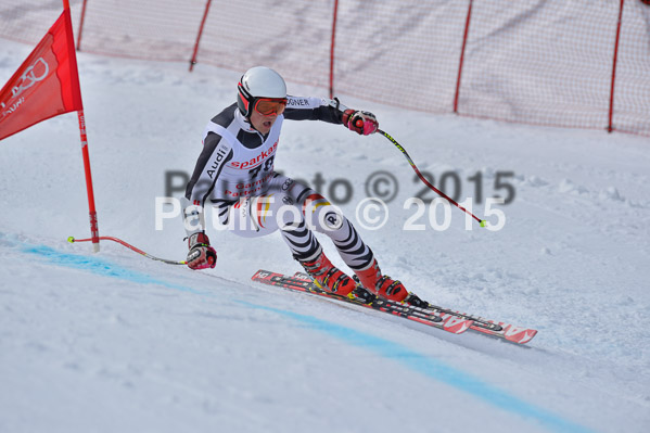 Int. Dt. Meisterschaft Abfahrt 2015