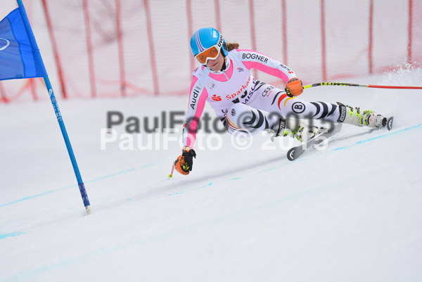 Int. Dt. Meisterschaft Super-G Herren 2015