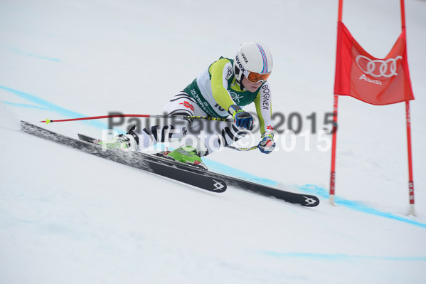Int. Dt. Meisterschaft Super-G Herren 2015