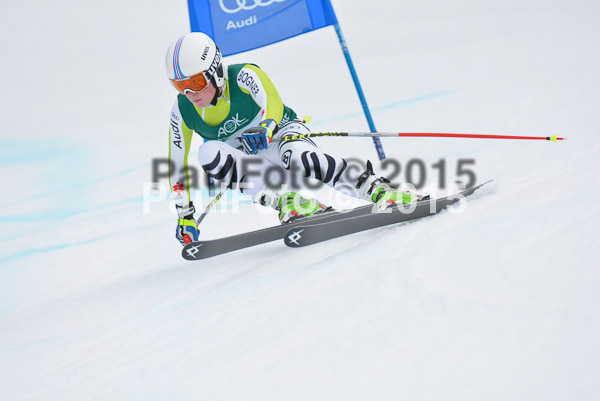 Int. Dt. Meisterschaft Super-G Herren 2015