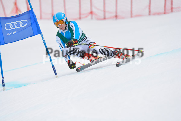 Int. Dt. Meisterschaft Super-G Herren 2015