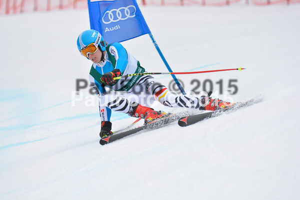 Int. Dt. Meisterschaft Super-G Herren 2015