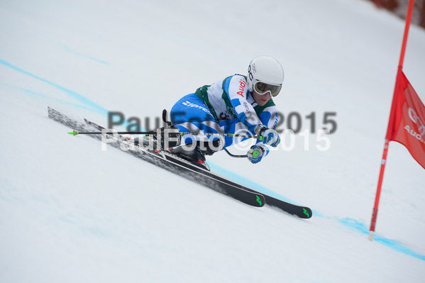 Int. Dt. Meisterschaft Super-G Herren 2015