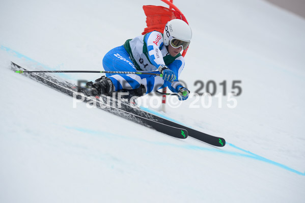 Int. Dt. Meisterschaft Super-G Herren 2015