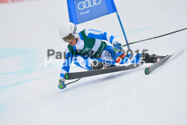 Int. Dt. Meisterschaft Super-G Herren 2015