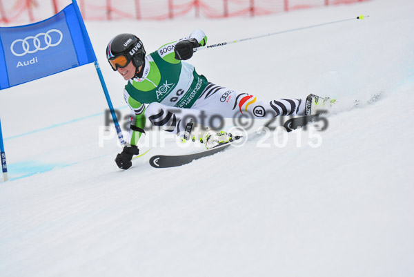 Int. Dt. Meisterschaft Super-G Herren 2015