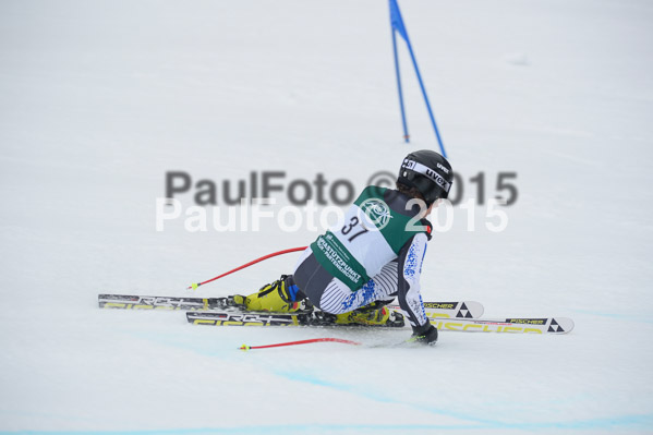 Int. Dt. Meisterschaft Super-G Herren 2015