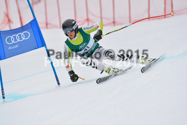 Int. Dt. Meisterschaft Super-G Herren 2015