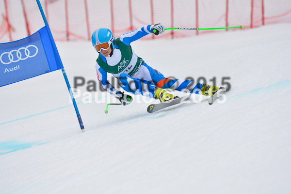 Int. Dt. Meisterschaft Super-G Herren 2015