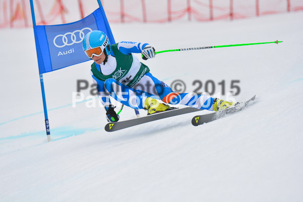 Int. Dt. Meisterschaft Super-G Herren 2015