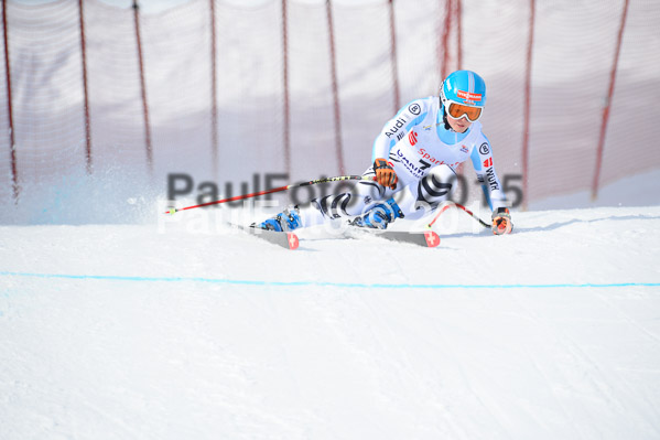 Int. Dt. Jugendmeisterschaft Abfahrt 2015