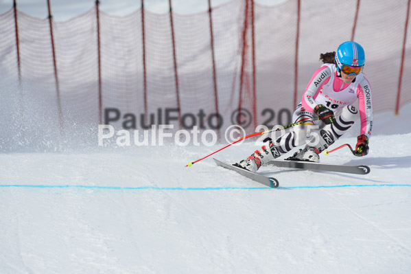 Int. Dt. Jugendmeisterschaft Abfahrt 2015