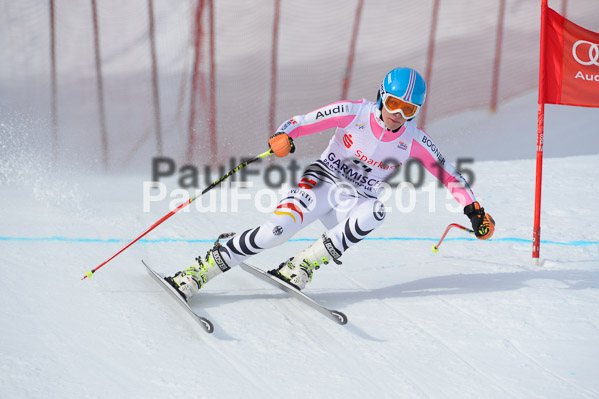 Int. Dt. Jugendmeisterschaft Abfahrt 2015