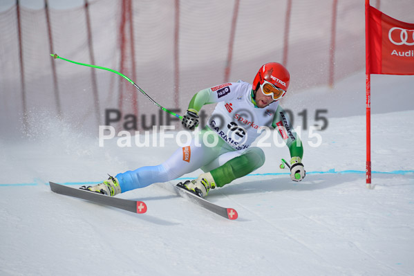 Int. Dt. Jugendmeisterschaft Abfahrt 2015