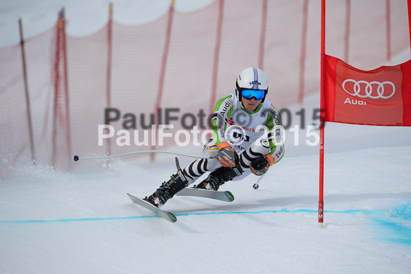Int. Dt. Jugendmeisterschaft Abfahrt 2015