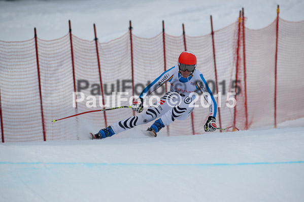 Int. Dt. Jugendmeisterschaft Abfahrt 2015