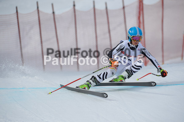 Int. Dt. Jugendmeisterschaft Abfahrt 2015