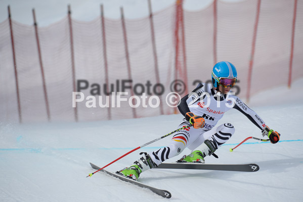 Int. Dt. Jugendmeisterschaft Abfahrt 2015