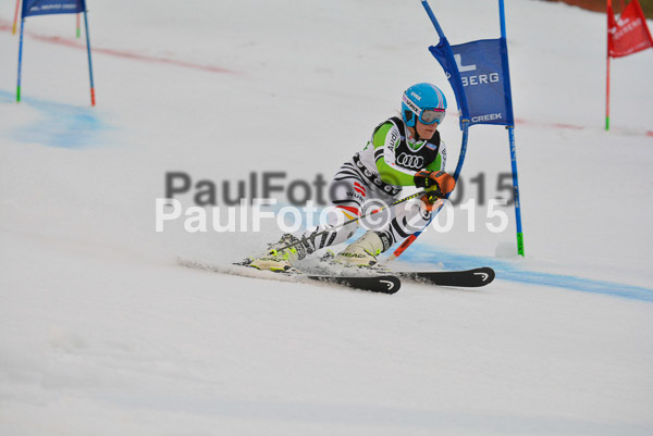 Dt. Meisterschaft Team Bewerb 2015
