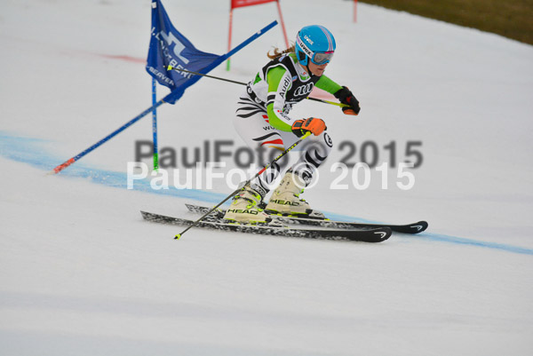 Dt. Meisterschaft Team Bewerb 2015